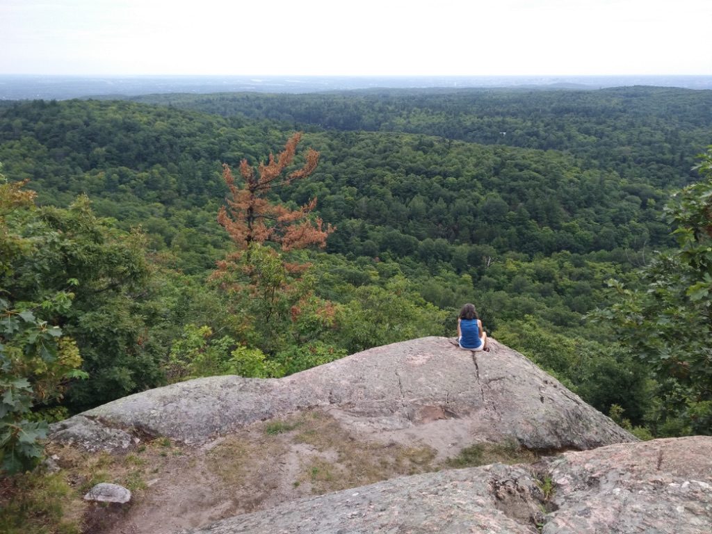 King Mountain trail, Gatineau Hills Park, as I photographed it in 2018.